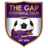 南查理斯顿布女足
