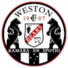 韦斯顿劳动熊后备队
